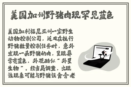蘑菇视频在线吃瓜